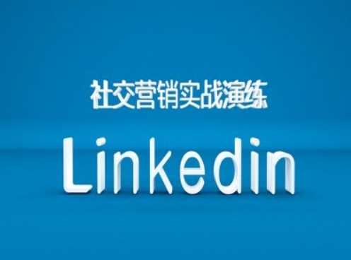 社交营销实战演练之Linkedin营销课程，B2B跨境外贸的新出路-117资源网