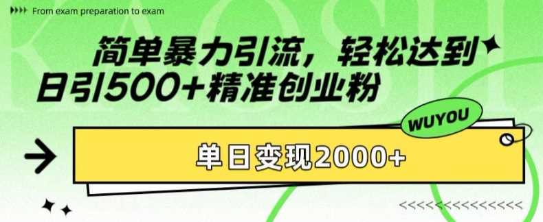 简单暴力引流轻松达到日引500+精准创业粉，单日变现2k【揭秘】-117资源网