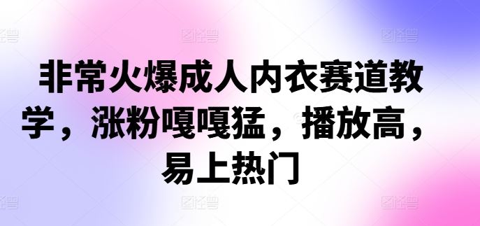 非常火爆成人内衣赛道教学，​涨粉嘎嘎猛，播放高，易上热门-117资源网