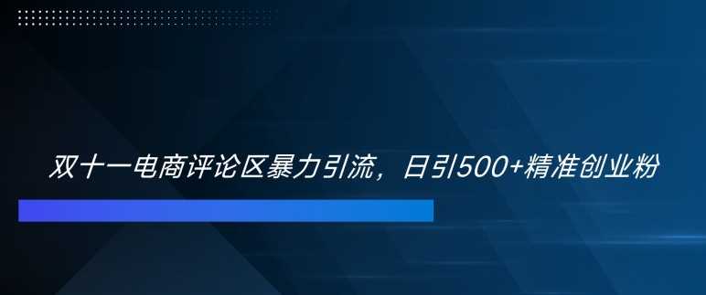 双十一电商评论区暴力引流，日引500+精准创业粉【揭秘】-117资源网