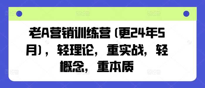 老A营销训练营(更24年10月)，轻理论，重实战，轻概念，重本质-117资源网