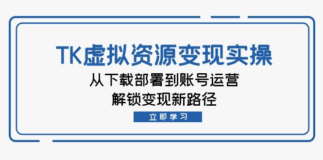 TK虚拟资料变现实操：从下载部署到账号运营，解锁变现新路径-117资源网