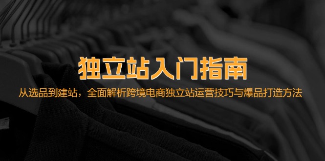 （12882期）独立站入门指南：从选品到建站，全面解析跨境电商独立站运营技巧与爆品…-117资源网