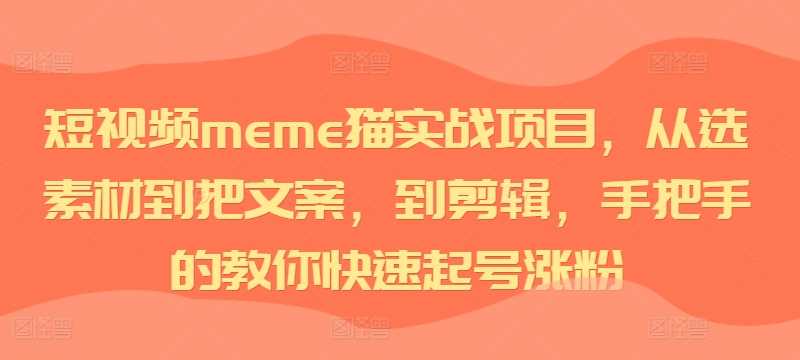 短视频meme猫实战项目，从选素材到把文案，到剪辑，手把手的教你快速起号涨粉-117资源网