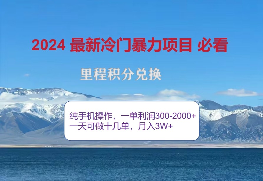 2024惊爆冷门暴利，里程积分最新玩法，高爆发期，一单300+—2000+-117资源网