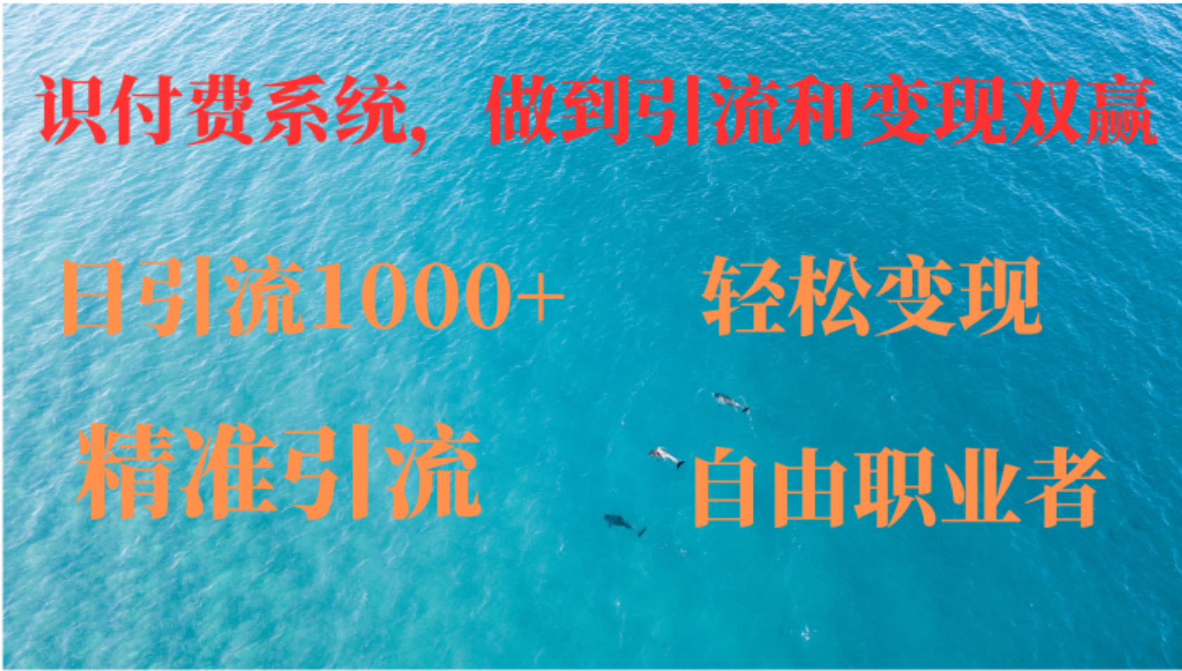 如何搭建自己的知识付费系统，做到引流和变现双赢-117资源网