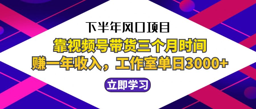 （12849期）下半年风口项目，靠视频号带货三个月时间赚一年收入，工作室实测单日3…-117资源网