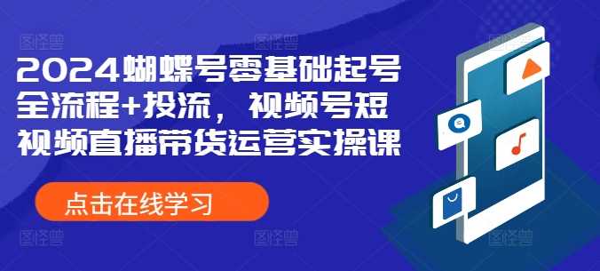 2024蝴蝶号零基础起号全流程+投流，视频号短视频直播带货运营实操课-117资源网