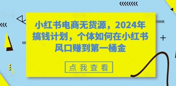 小红书电商无货源，2024年搞钱计划，个体如何在小红书风口赚到第一桶金-117资源网