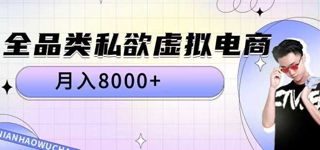 全品类私欲虚拟电商，月入8000+【揭秘】-117资源网