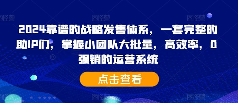 2024靠谱的战略发售体系，一套完整的助IP们，掌握小团队大批量，高效率，0 强销的运营系统-117资源网