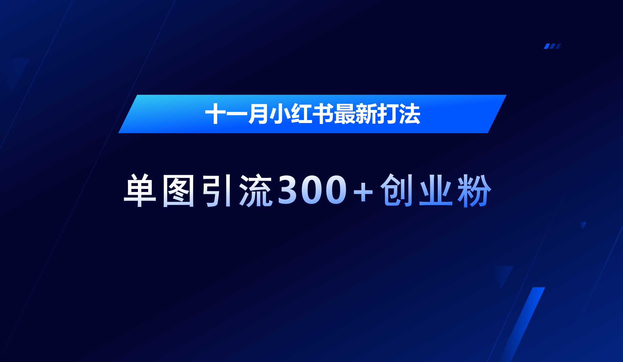 十一月，小红书最新打法，单图引流300+创业粉-117资源网