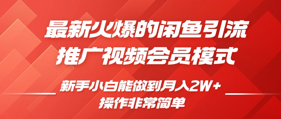 最新火爆的闲鱼引流推广视频会员，新手小白能做到月入2W+-117资源网