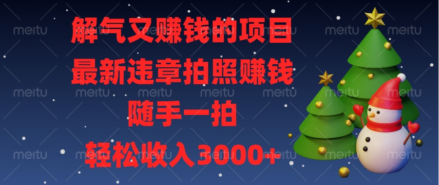 最新违章拍照赚钱，随手一拍，解气又赚钱的项目，轻松收入3000+-117资源网