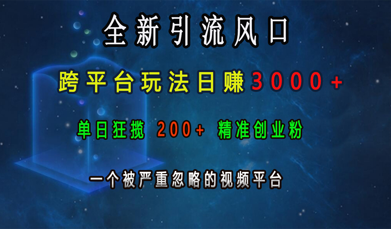 全新引流风口，跨平台玩法日赚3000+，单日狂揽200+精准创业粉，一个被严重忽略的视频平台-117资源网