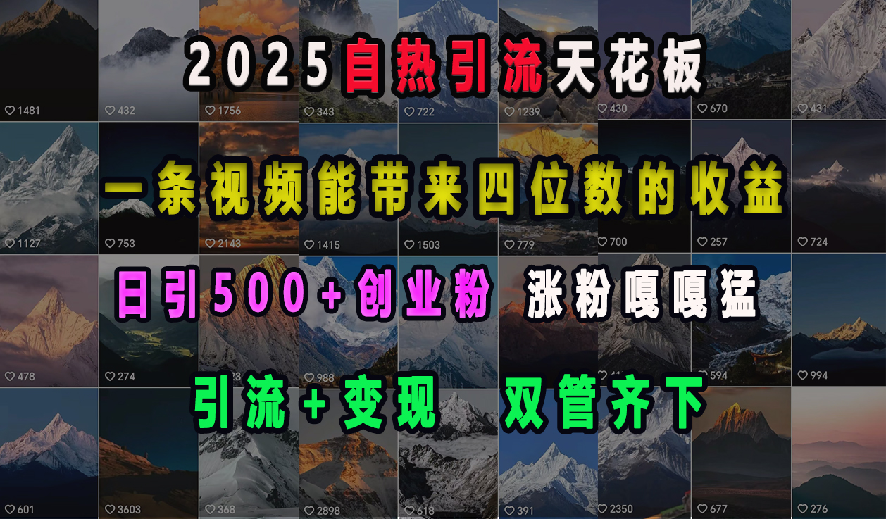 2025自热引流天花板，一条视频能带来四位数的收益，引流+变现双管齐下，日引500+创业粉，涨粉嘎嘎猛-117资源网