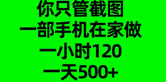 你只管截图，一部手机在家做，一小时120，一天500+-117资源网