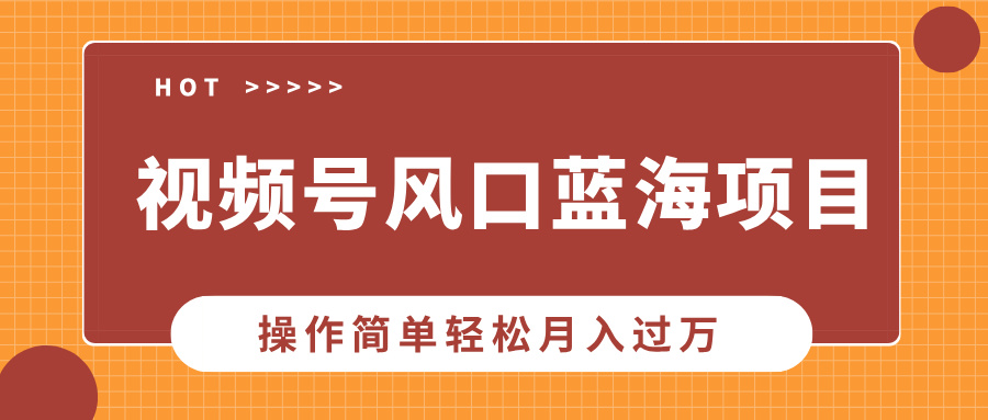 视频号风口蓝海项目，中老年人的流量密码，操作简单轻松月入过万-117资源网